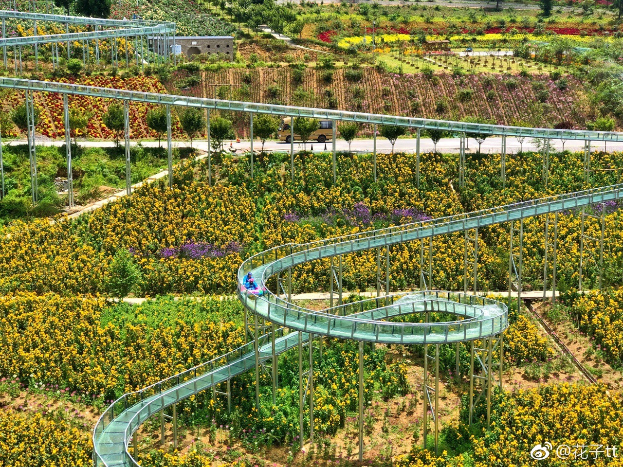 石柱的云中花都太美啦!昨天小伙伴说我太会选避暑胜地我还不太理解
