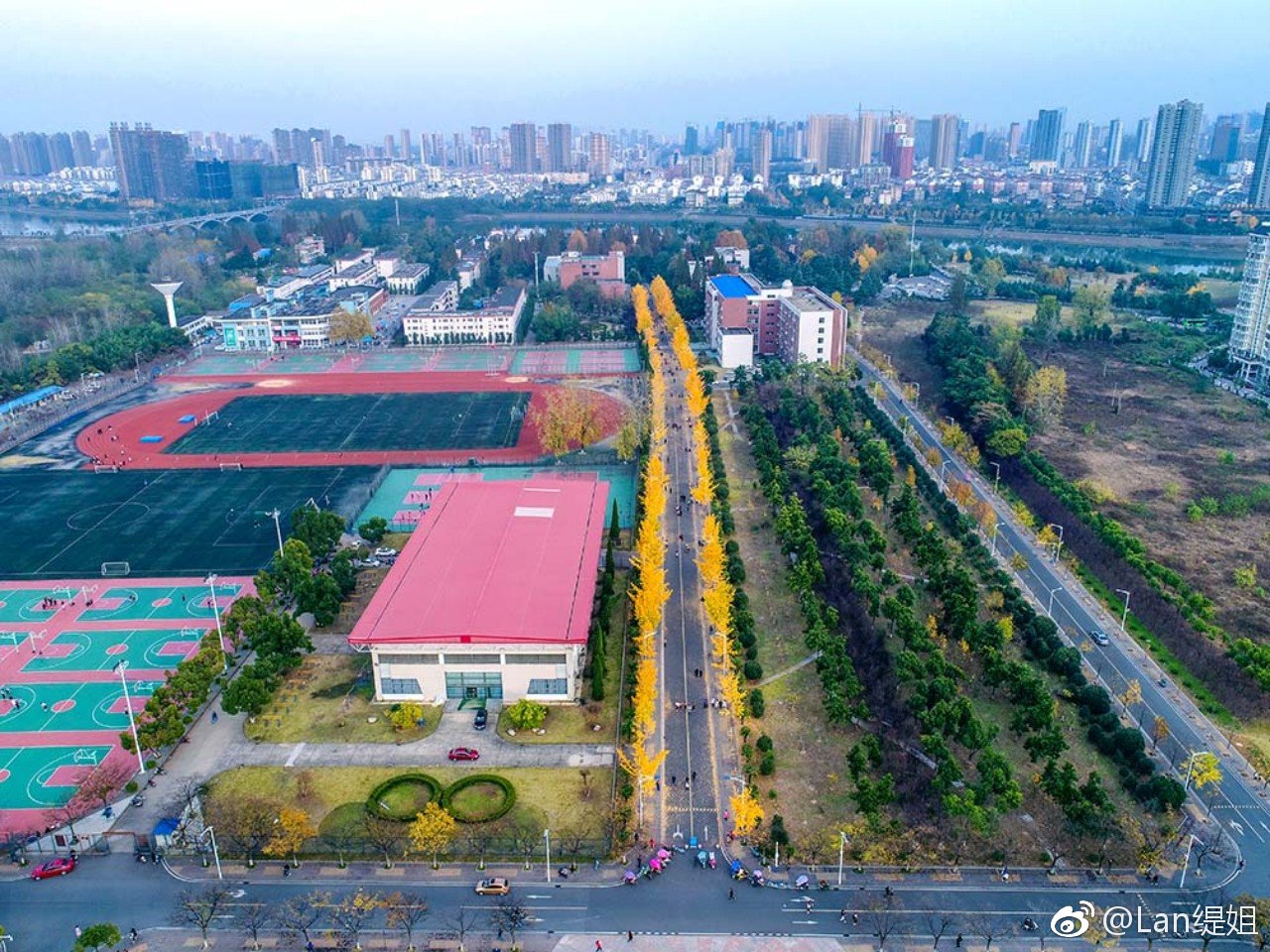 六安月亮岛皖西学院银杏大道网红打卡地