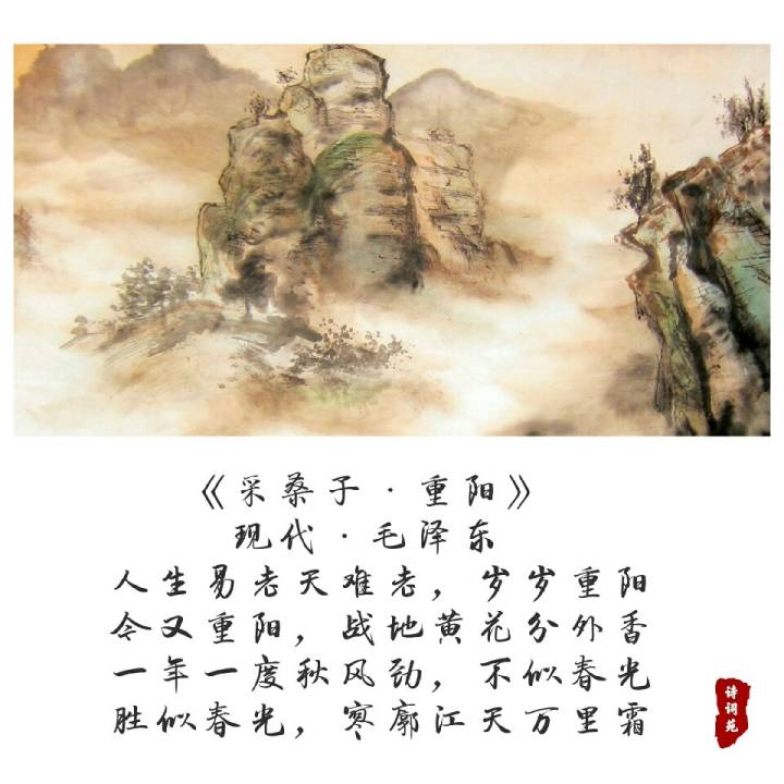 诗词盘点|诗词|采桑子|词牌_新浪新闻
