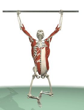 279_363竖版 竖屏gif 动态图 动图