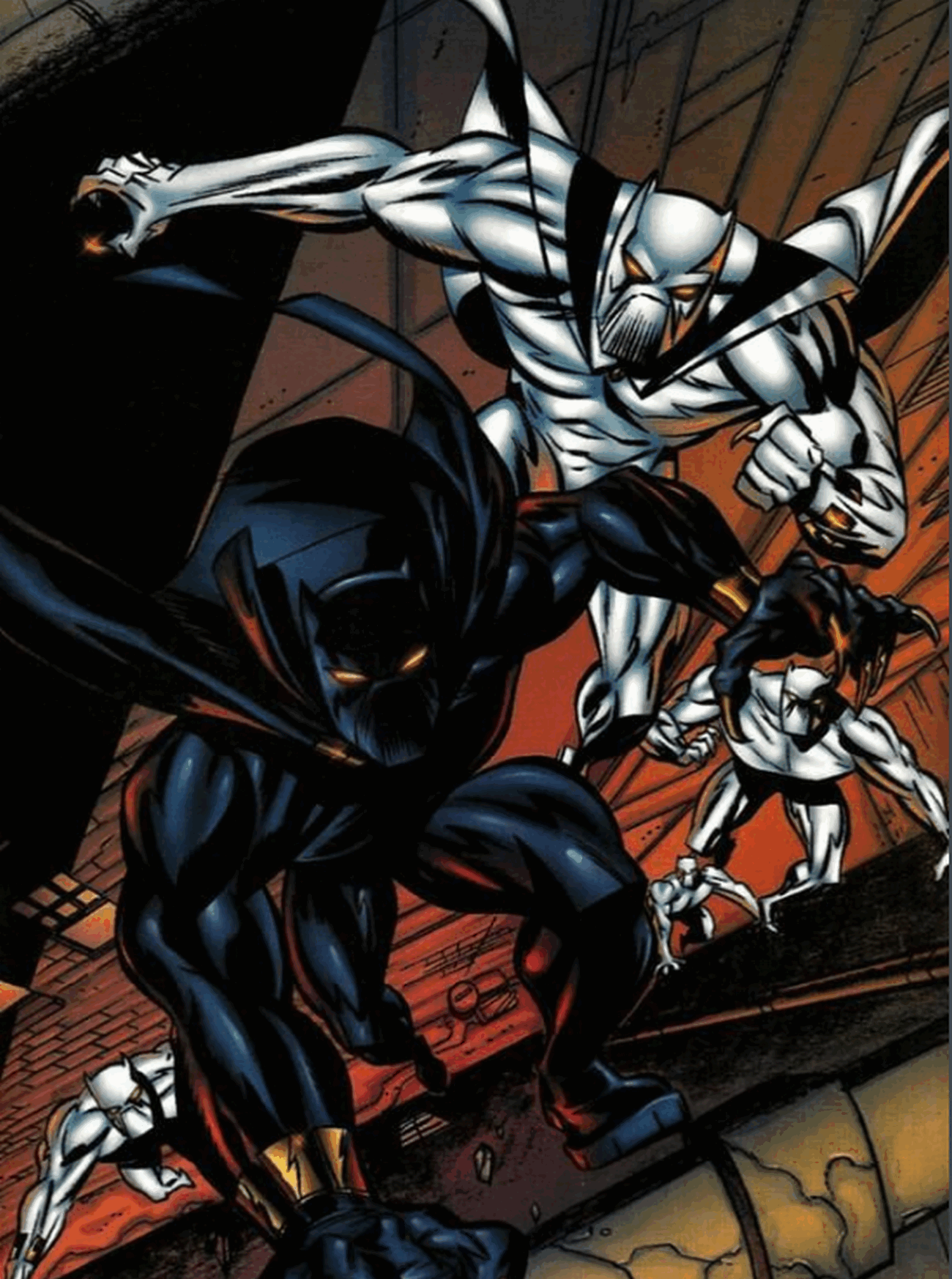 电影黑豹中冬兵被称为白狼?真实的白狼是黑豹家族唯一的白人!