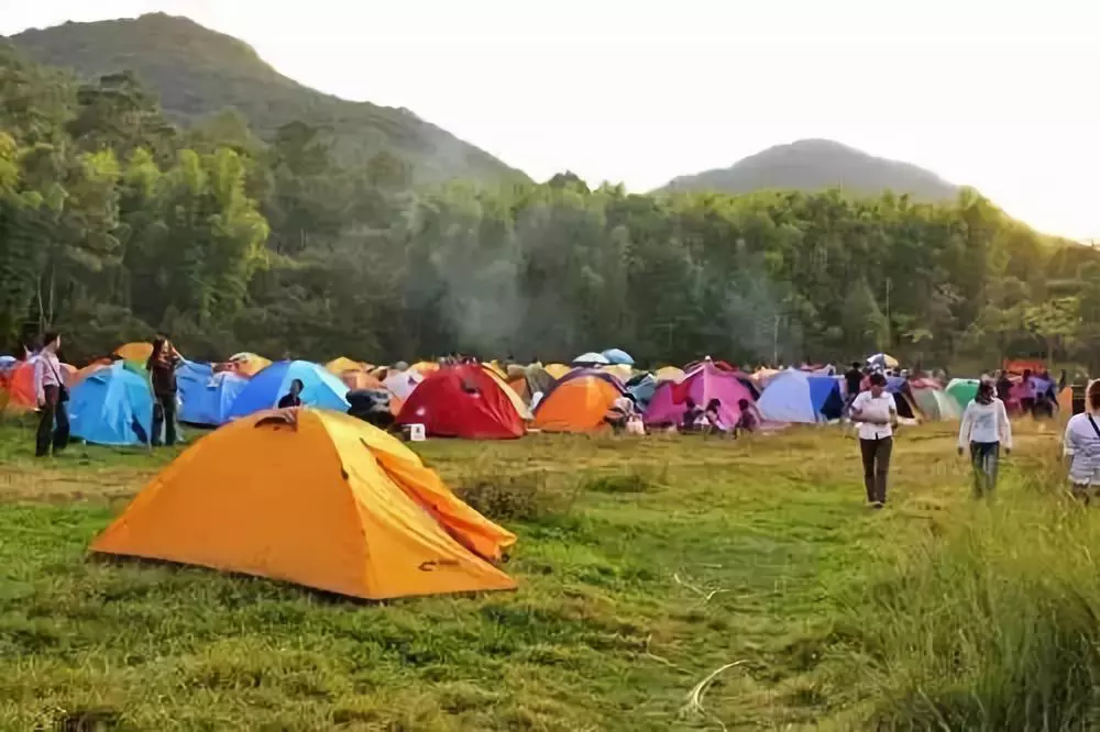 紫溪山森林公園,一望無際的松林鬱鬱蔥蔥,掩映在松林之間的馬纓花,每