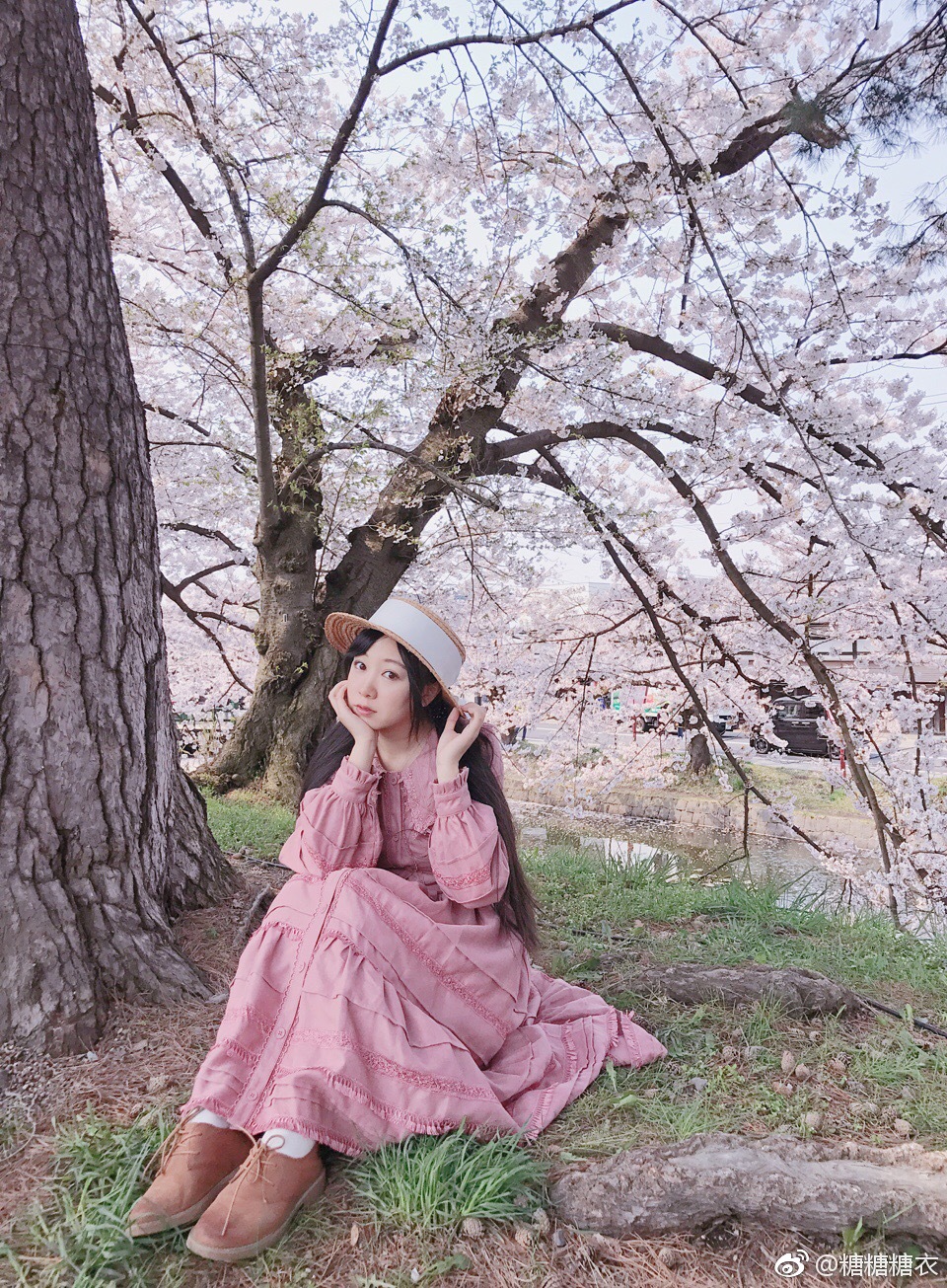 今天看了据说是全日本最美的樱花——弘前公园的樱花|弘前|樱花|公园|天晴|都美_新浪新闻