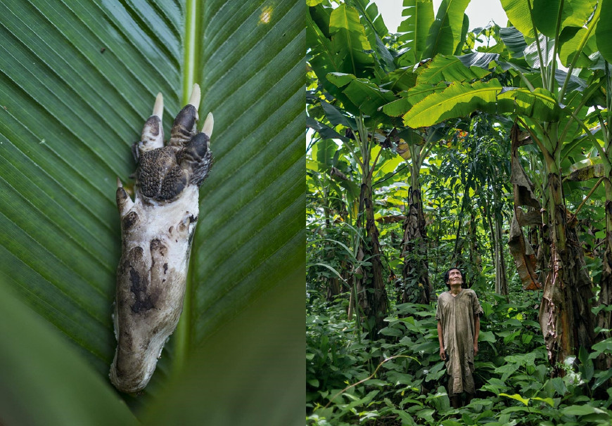 亚马逊雨林野人图片
