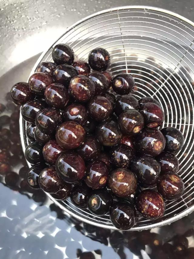 67一碗冰镇炖胭脂果冰凉酸甜实在是消暑最佳饮品