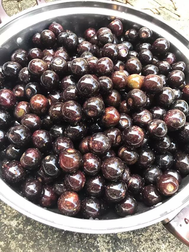 67一碗冰镇炖胭脂果冰凉酸甜实在是消暑最佳饮品