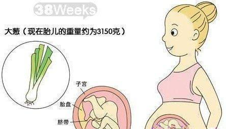 怀胎十月,这样记录胎宝宝每月的成长,过程神奇且美丽!|准妈妈|胎儿|胎宝宝_新浪新闻