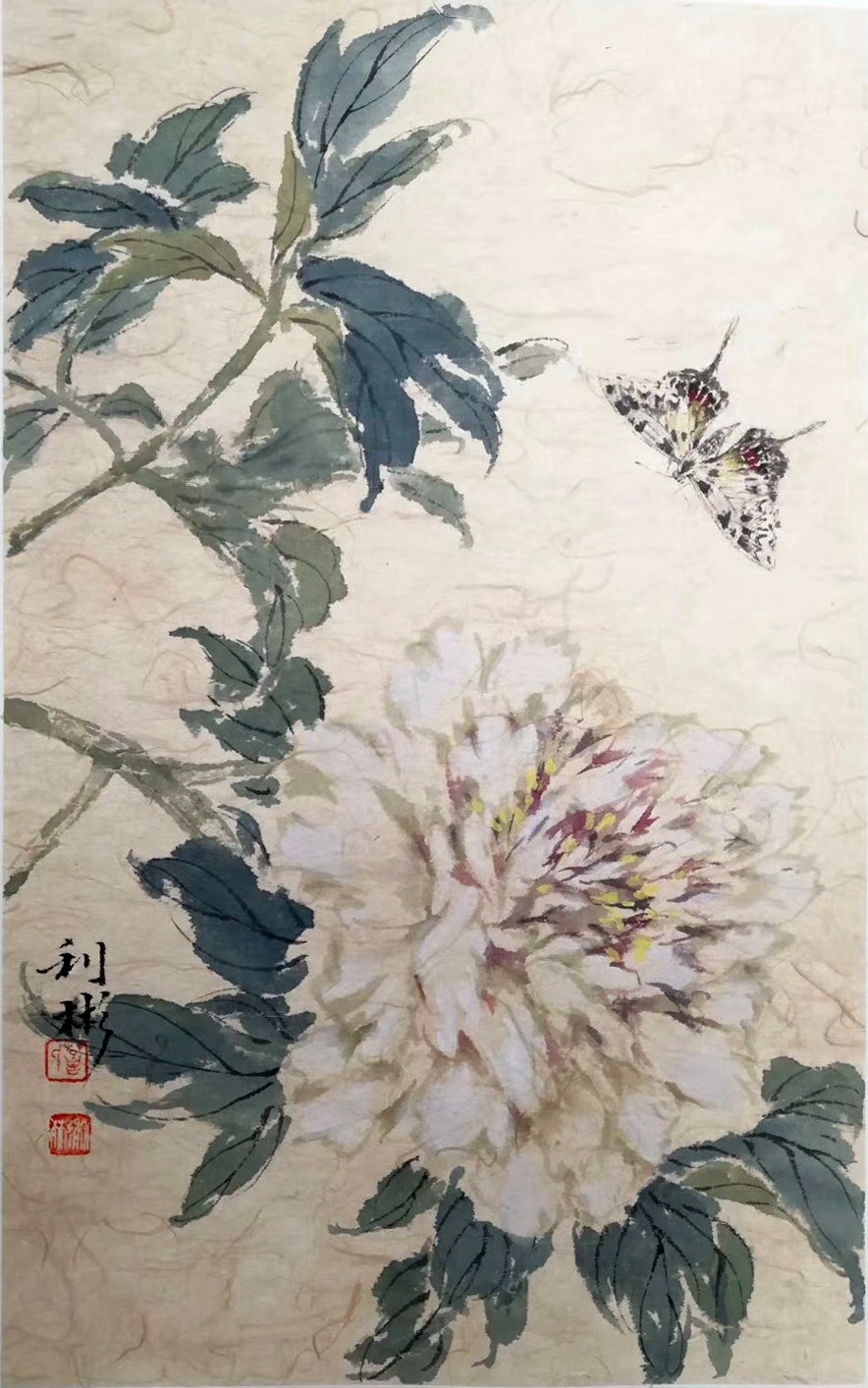 名家葛利彬先生惟妙惟肖的草虫世界