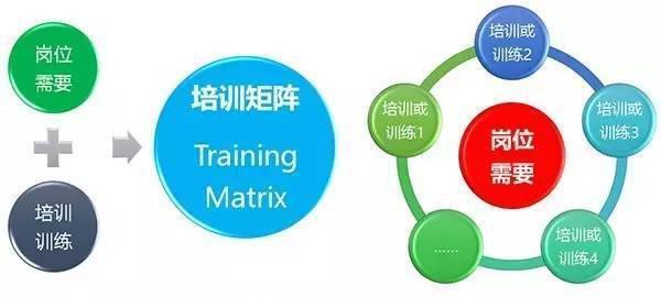 市短视频矩阵seo优化