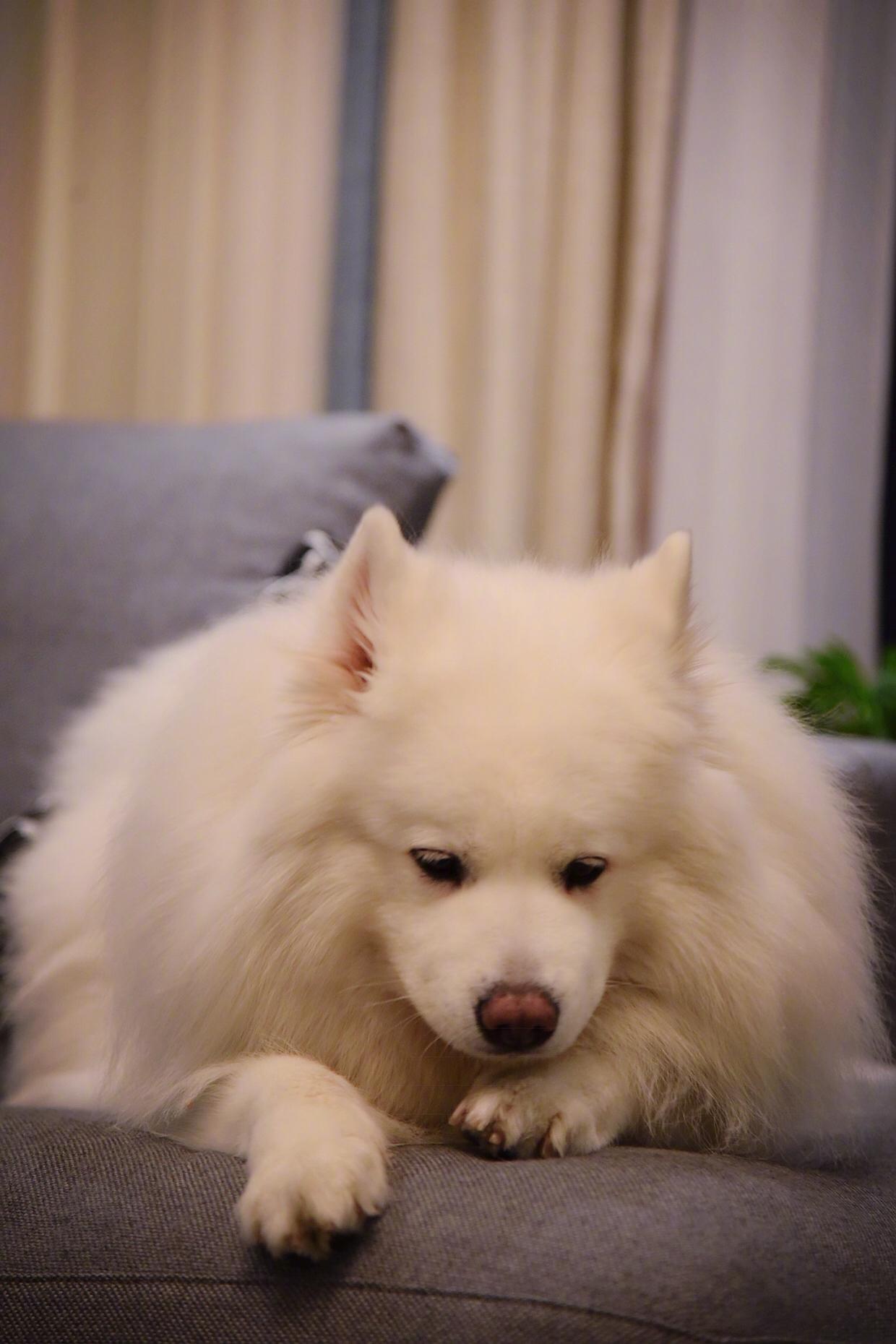 只要你一个眼神肯定