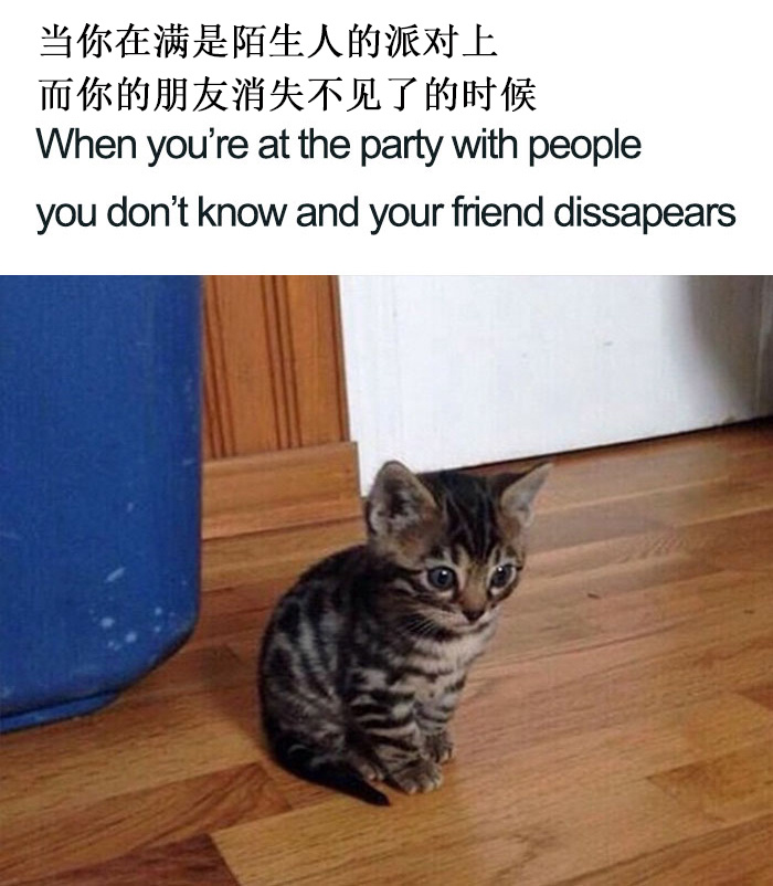 boredpanda整理了一些关于内向社交恐惧症的梗你中了几个