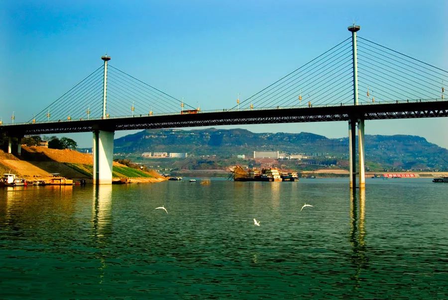 每天通行万安大桥的市民,现在知道这条信息还不算晚