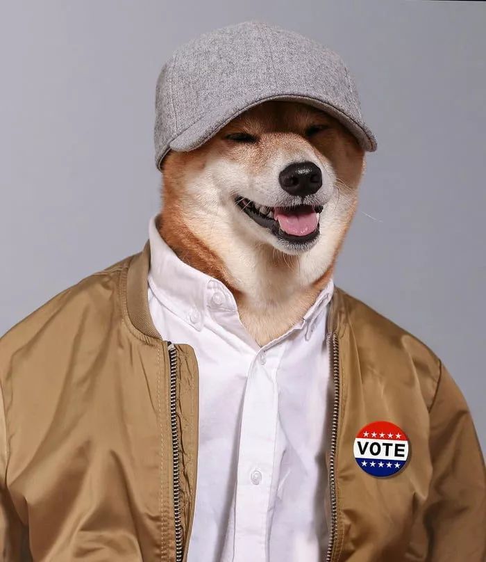 狗穿上衣服都比你帅!