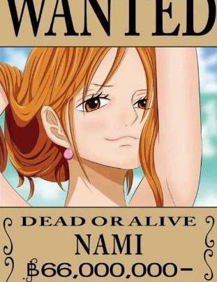 海贼王悬赏金额最高5位女海贼女帝第四娜美第五