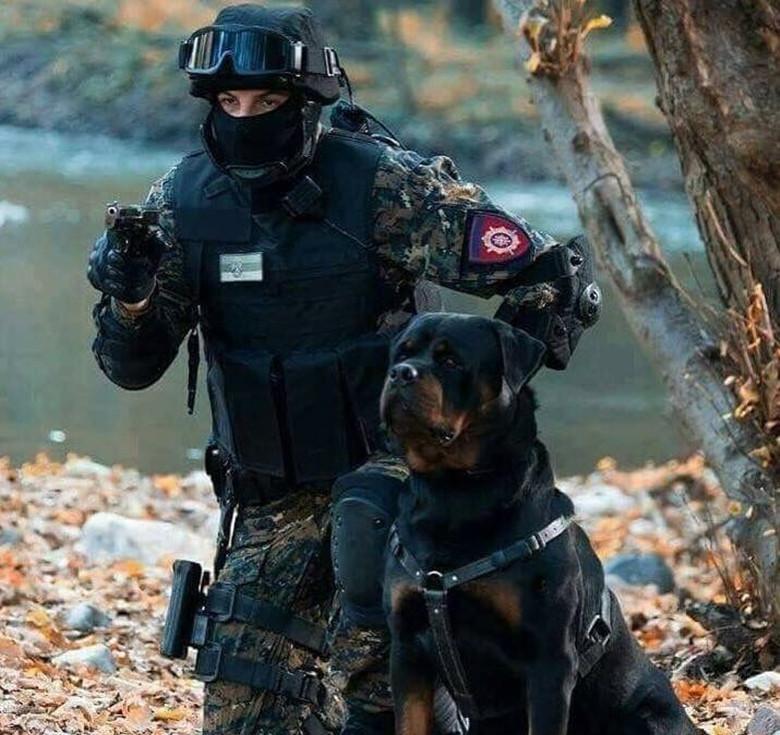 它是一把随时为你出鞘的利剑