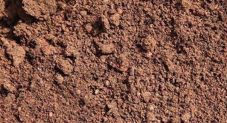 教你自制酸性土壤,给栀子花用了,花苞再也不掉了!