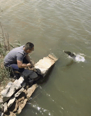 搞笑gif:依你的成绩,上大学是不太现实的!