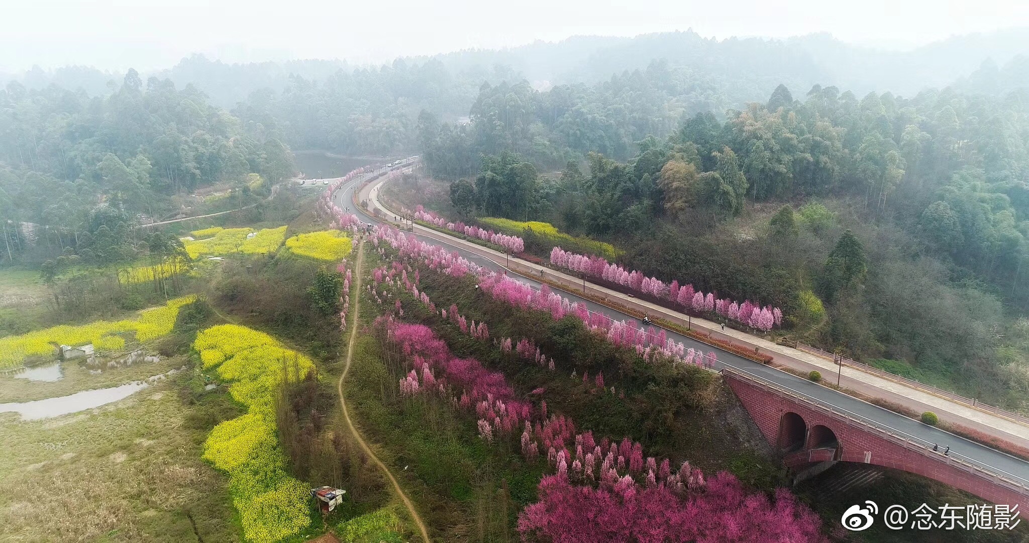 四川乐山绿心路如此高颜值,简直美哭
