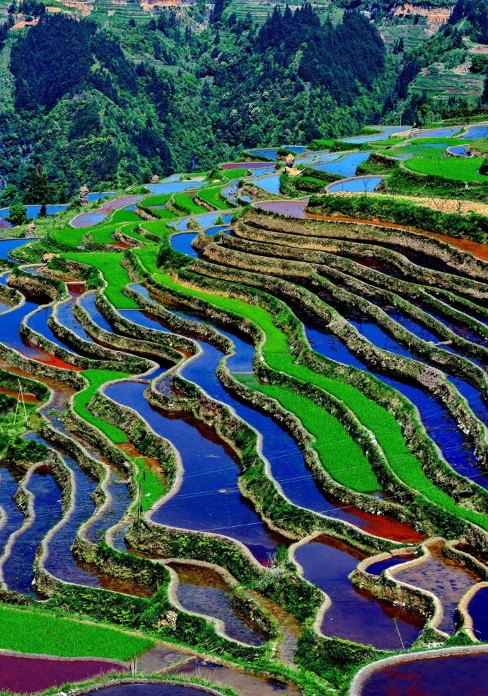 阳朔月亮山的五彩梯田泛着光芒的水田像一块块彩色的宝石