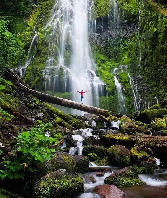 每张照片3万人点赞这位摄影师拍下的才是向往的生活