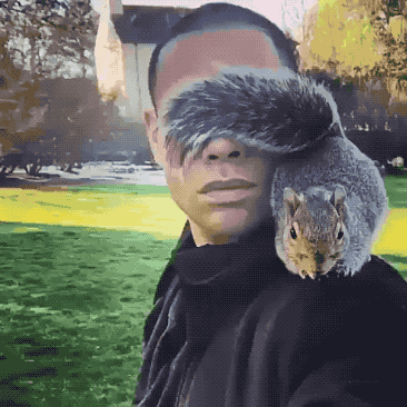 366_366gif 动态图 动图