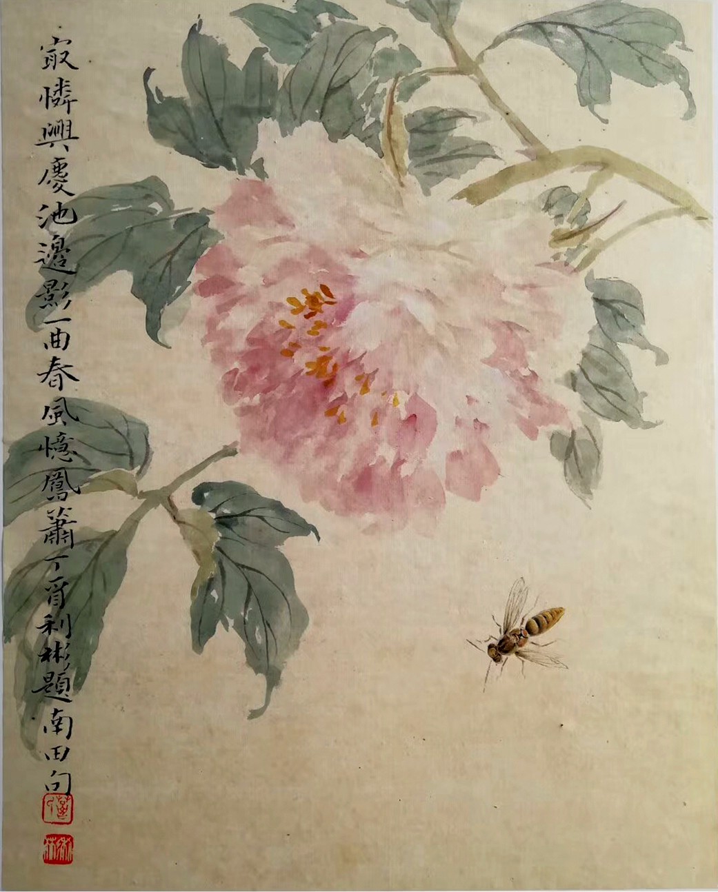 名家葛利彬先生惟妙惟肖的草虫世界