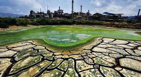 智慧农业面临人才短缺;德国有机农业核心是什