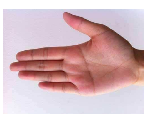 解析断掌手纹人的命运,假断掌的手相是好还是