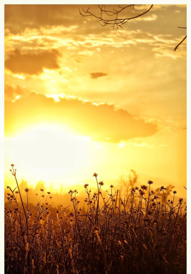 金光璀璨,吞天沃日