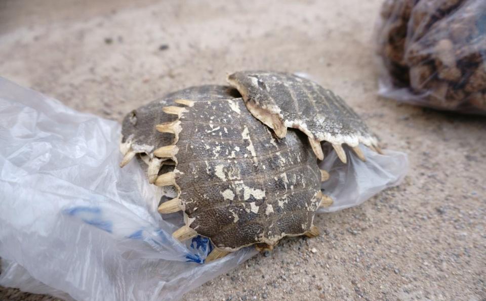 农村逛大集, 发现稀罕玩意, 一斤180只收不卖, 多数人不认识