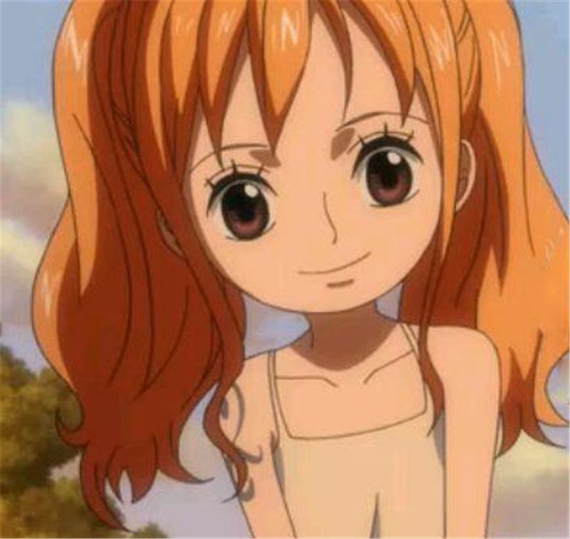 海贼王娜美的真实身份是什么五个脑洞答案最后一个雷利尬了