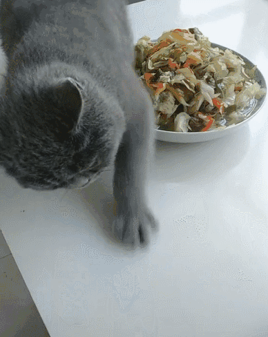 388_488竖版 竖屏gif 动态图 动图