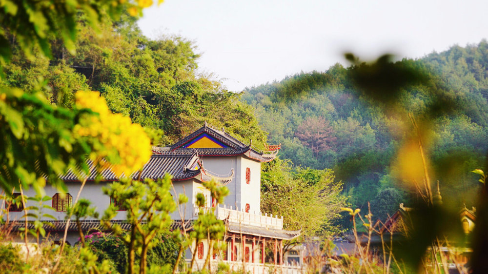 平步青云，自由奔跑，这条翁源最美4A越野赛道请收好！|东华山|翁源|越野_新浪新闻