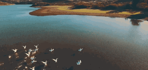 在半月湾的落日余晖下,陡峭的悬崖与汹涌的海浪相拥成群的海鸥飞驰而