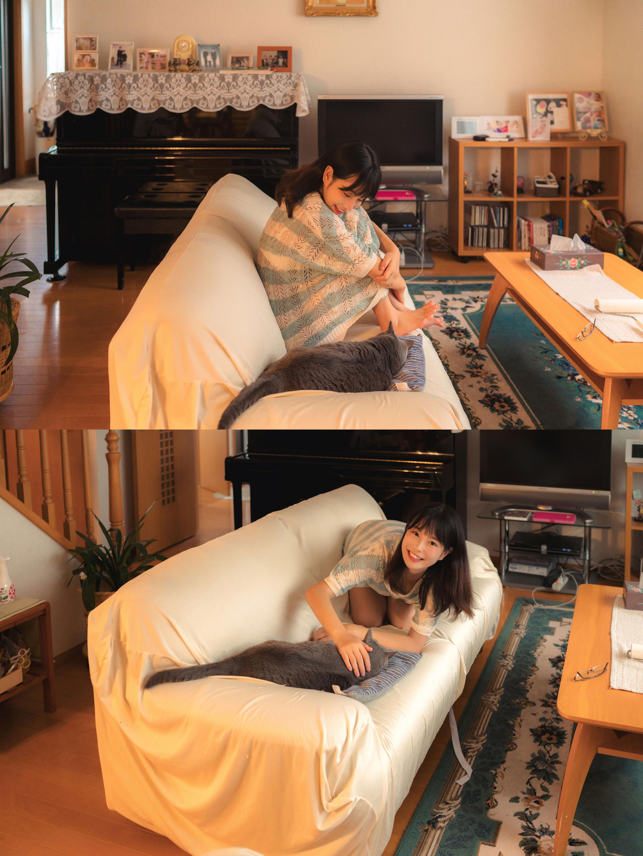 午后少女和猫@最长情 出镜:@长岛妹妹 @美女校花约拍