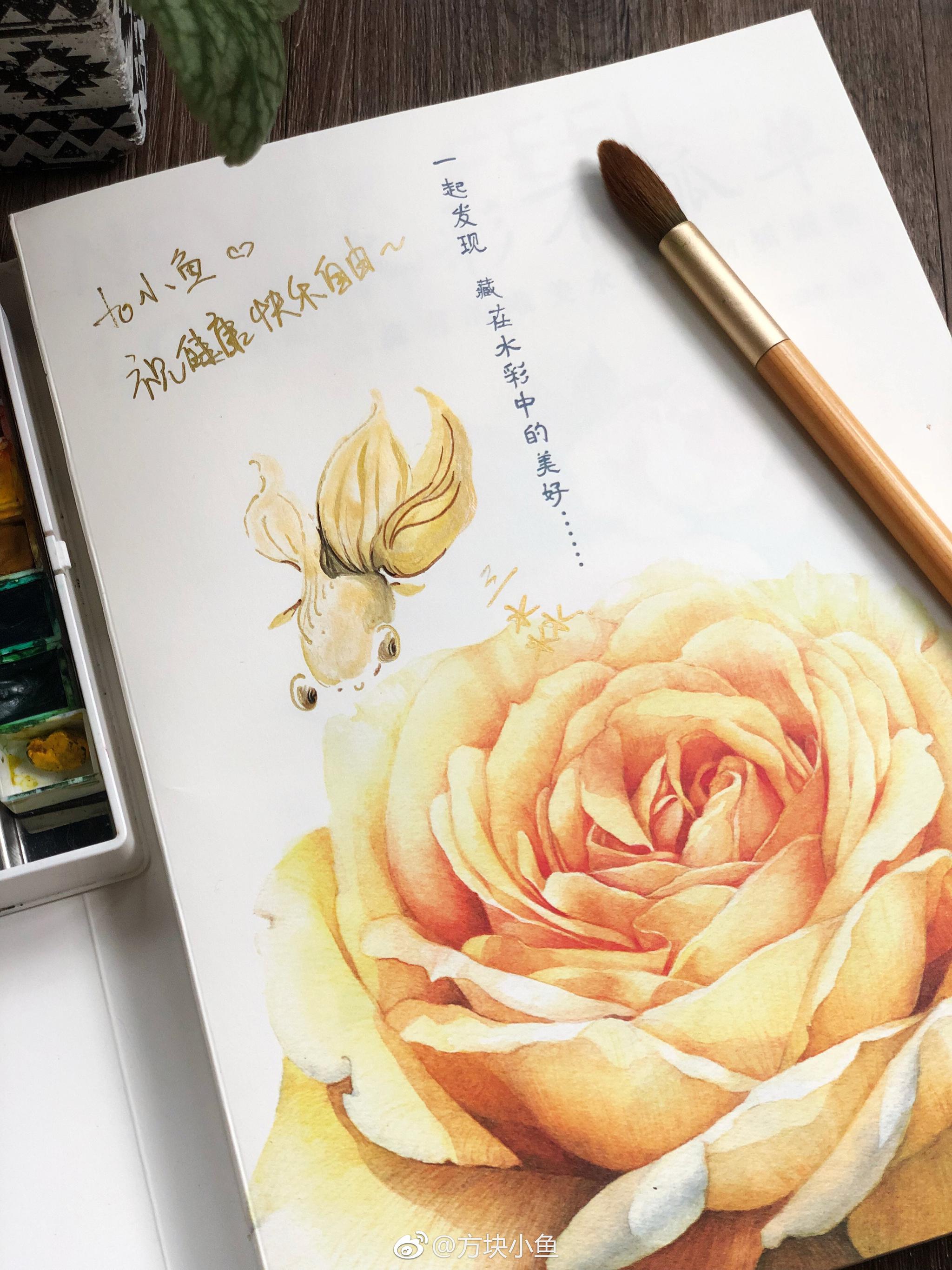 自学成才的朋友三淼君又又又出了本新书过程极为详细钦佩钦佩