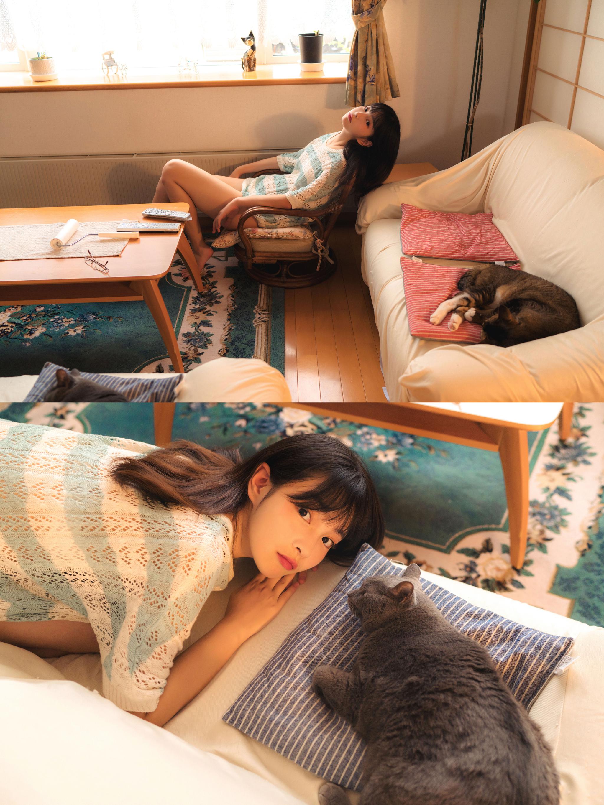 午后少女和猫@最长情 出镜:@长岛妹妹 @美女校花约拍