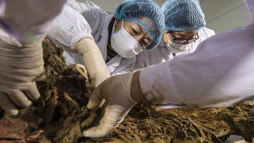 固伦荣宪公主死后下体流出这种东西专家的结论让人不敢相信