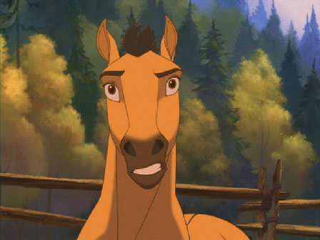 这只爱"耍酷"的马儿让人看傻眼,这些生活照简直"吊炸天"