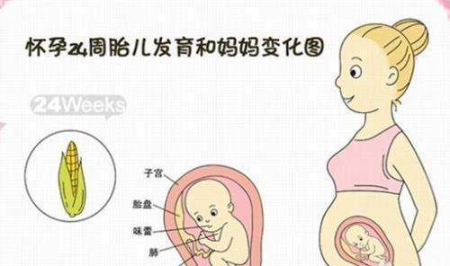 怀胎十月,这样记录胎宝宝每月的成长,过程神奇且美丽!|准妈妈|胎儿|胎宝宝_新浪新闻