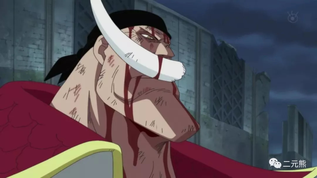 此生无悔入海贼,来世愿作船上人|罗杰|海贼王|蒂奇_新浪新闻