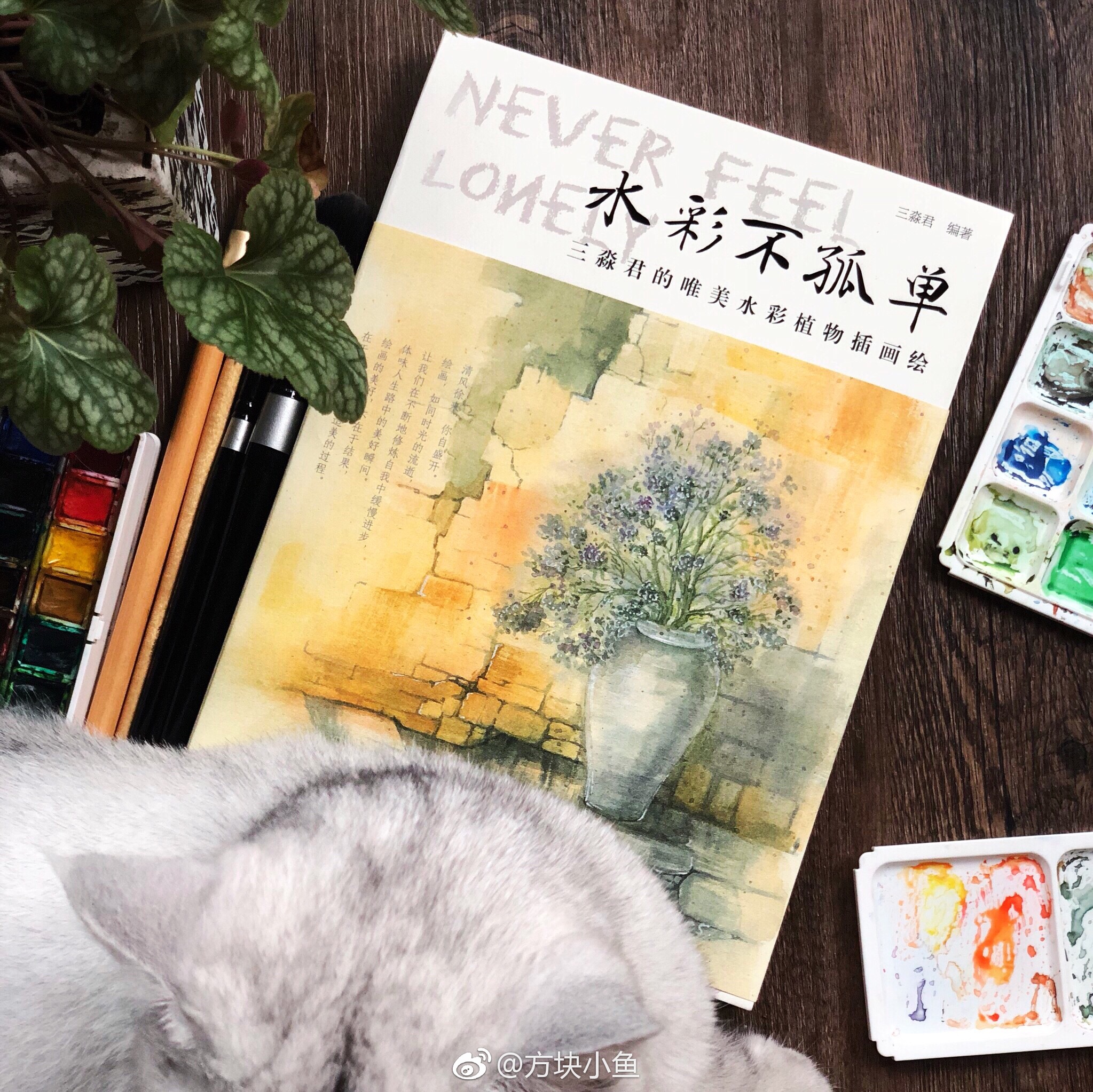 自学成才的朋友三淼君又又又出了本新书过程极为详细钦佩钦佩