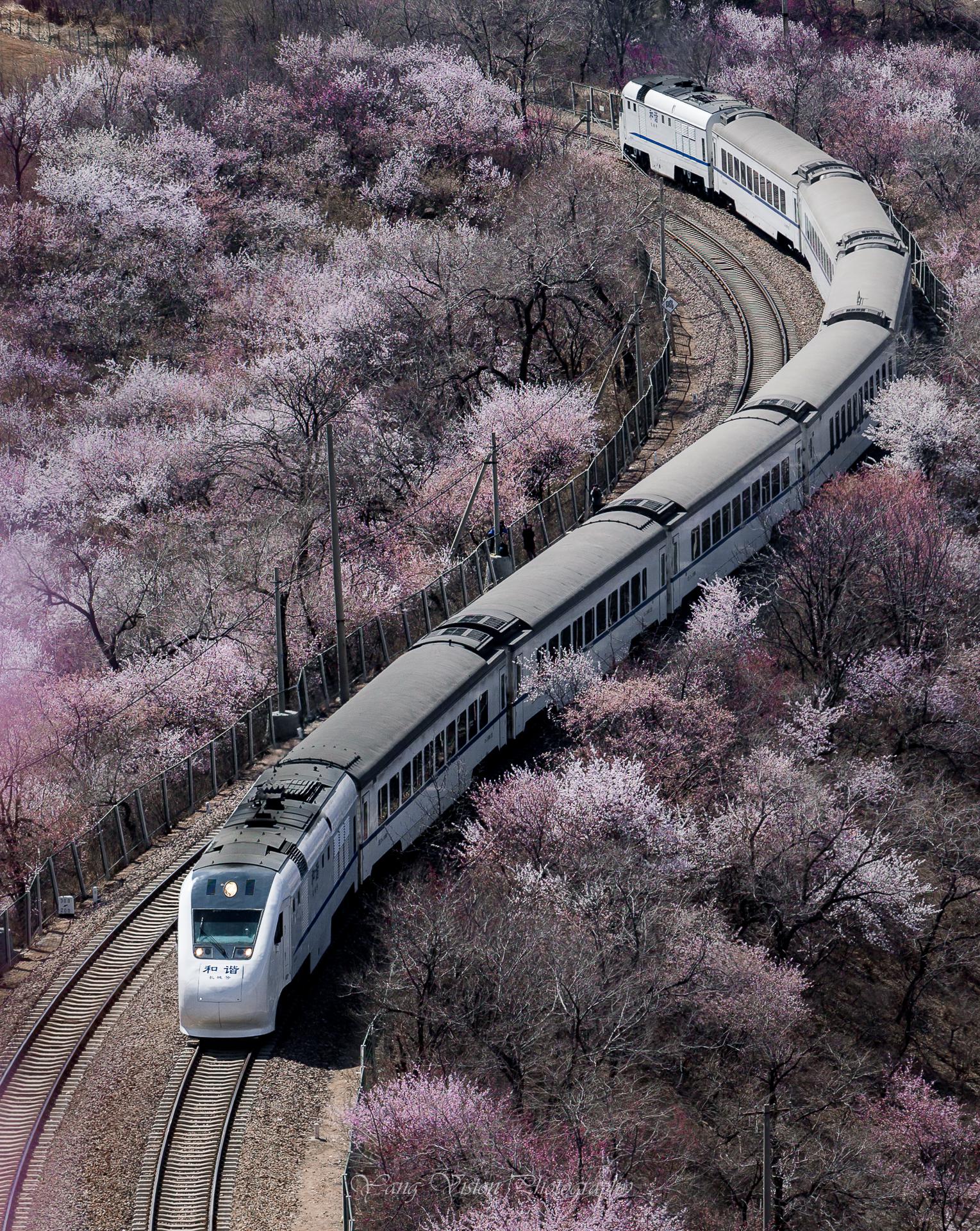 京城,古建繁花拍摄地推荐之九,长城下开往春天的列车
