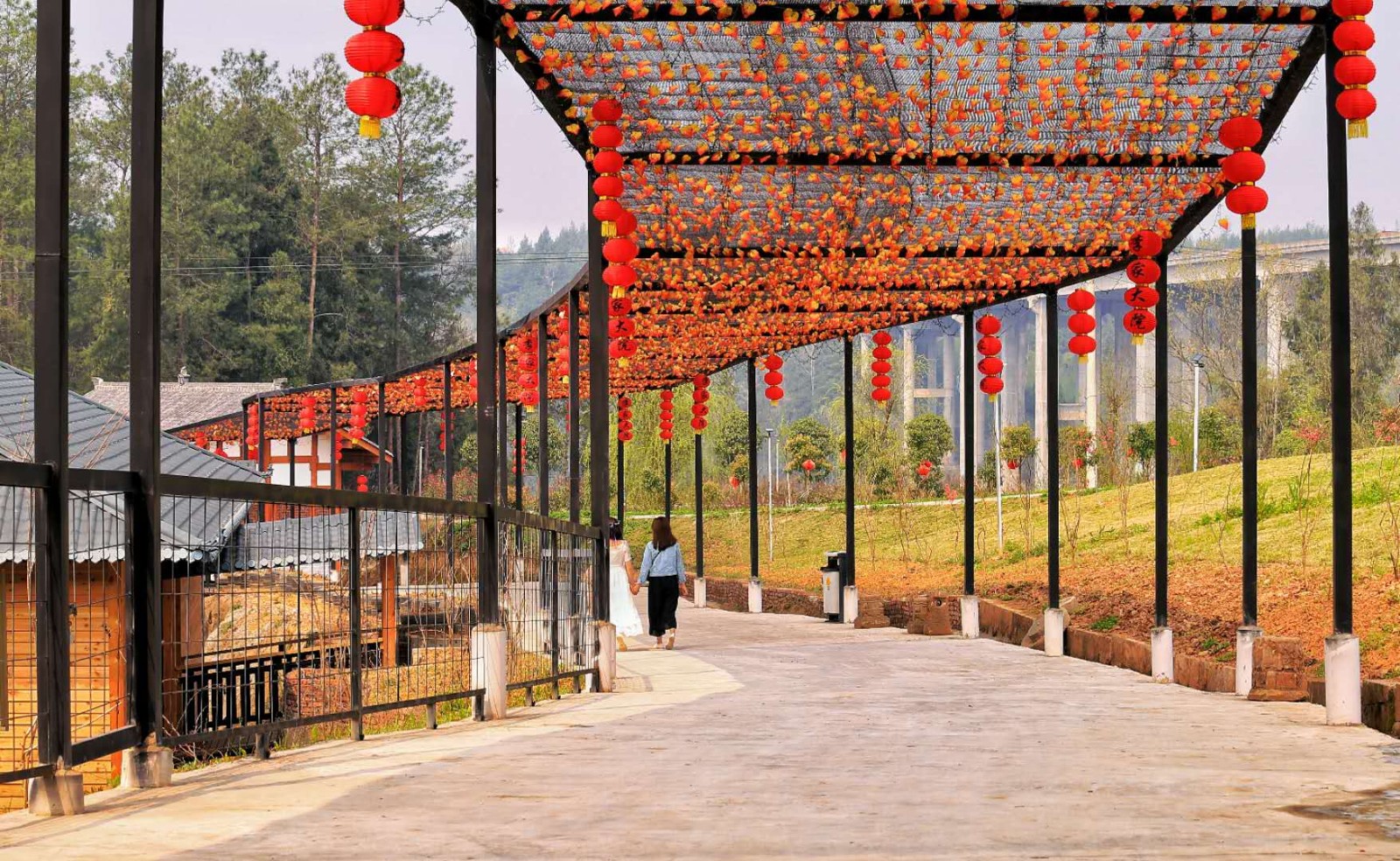 游巴中苏山坪和水宁寺弘昌生态农业产业园品绿色环保健康美食