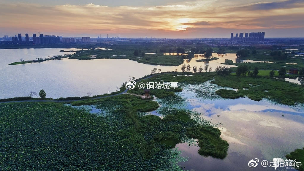 西湖湿地公园
