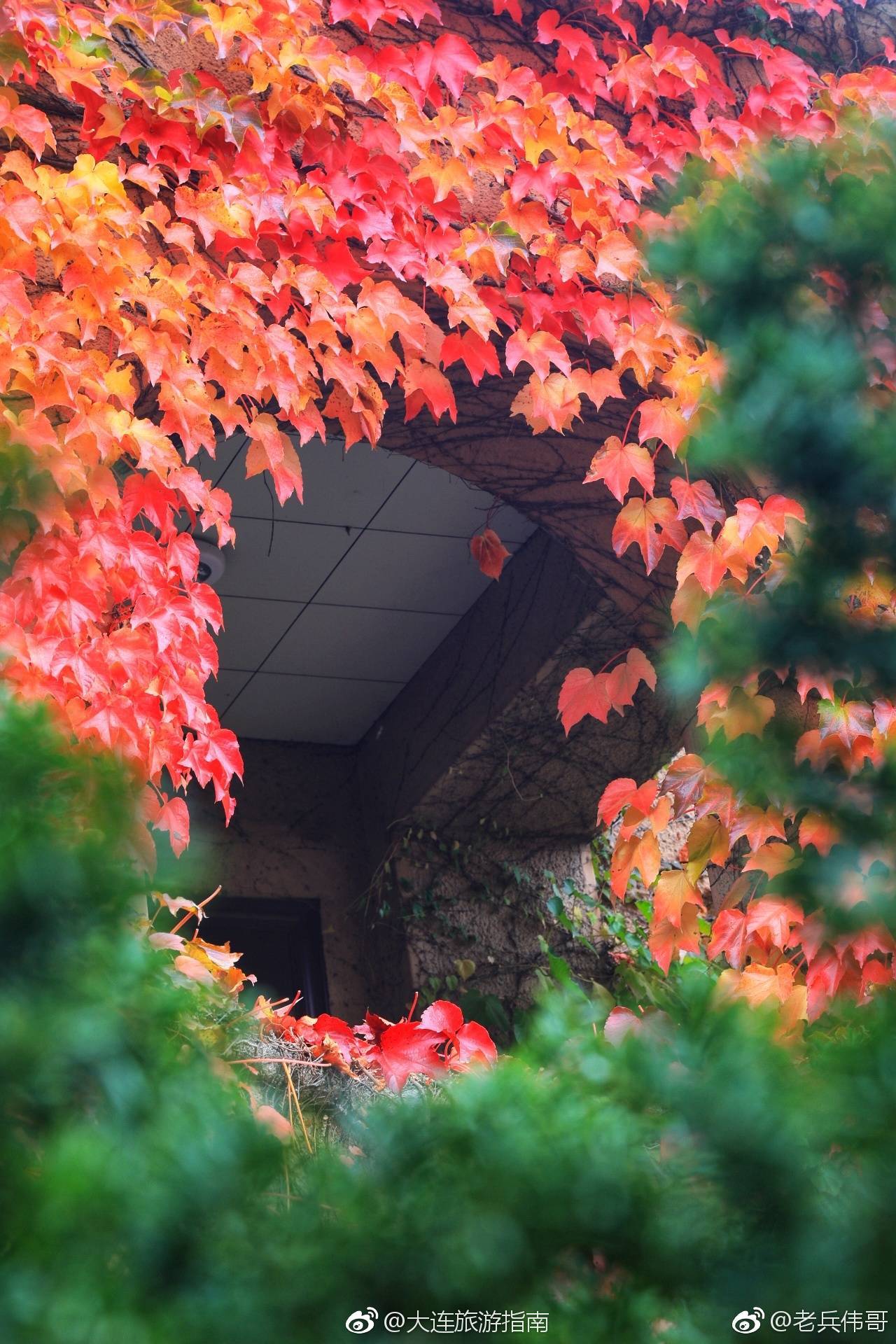 遇见大连一栋红房子