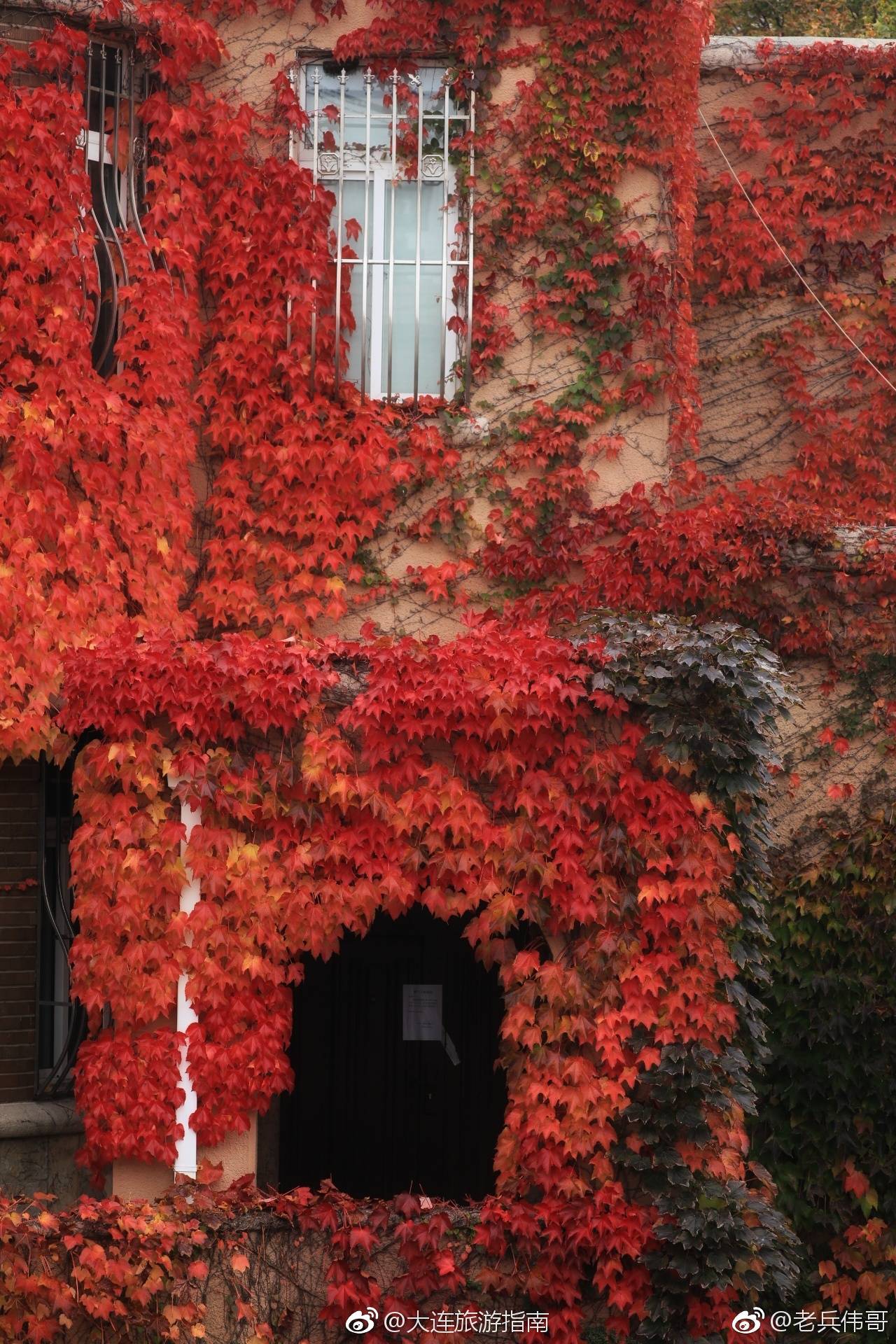 遇见大连一栋红房子