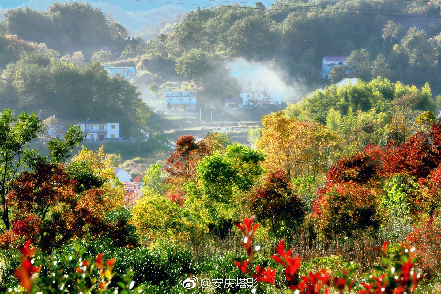 岳西发布 @岳西在线明月 @岳西县令 67安庆岳西中关镇北山村原生态