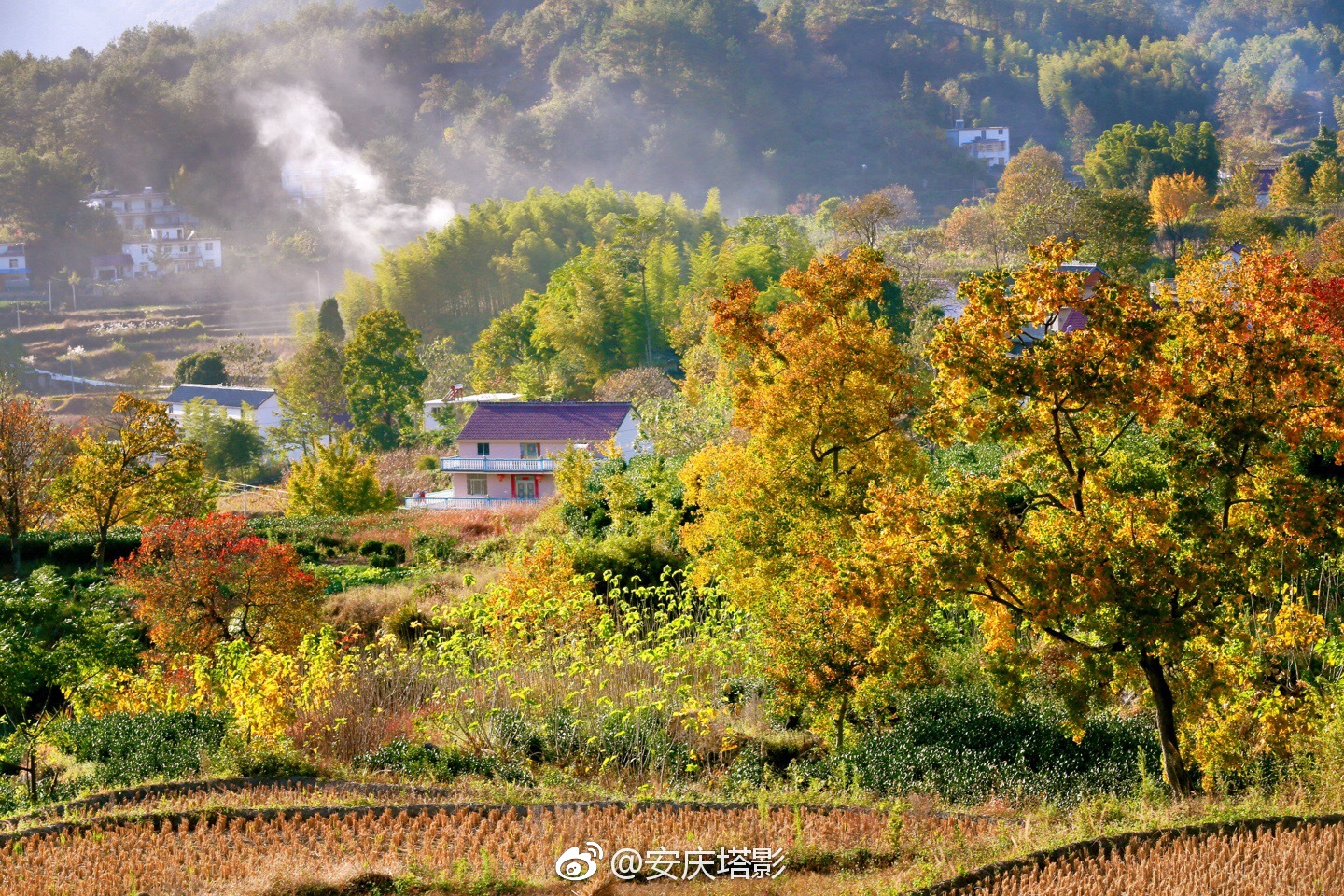 岳西发布 @岳西在线明月 @岳西县令 67安庆岳西中关镇北山村原生态