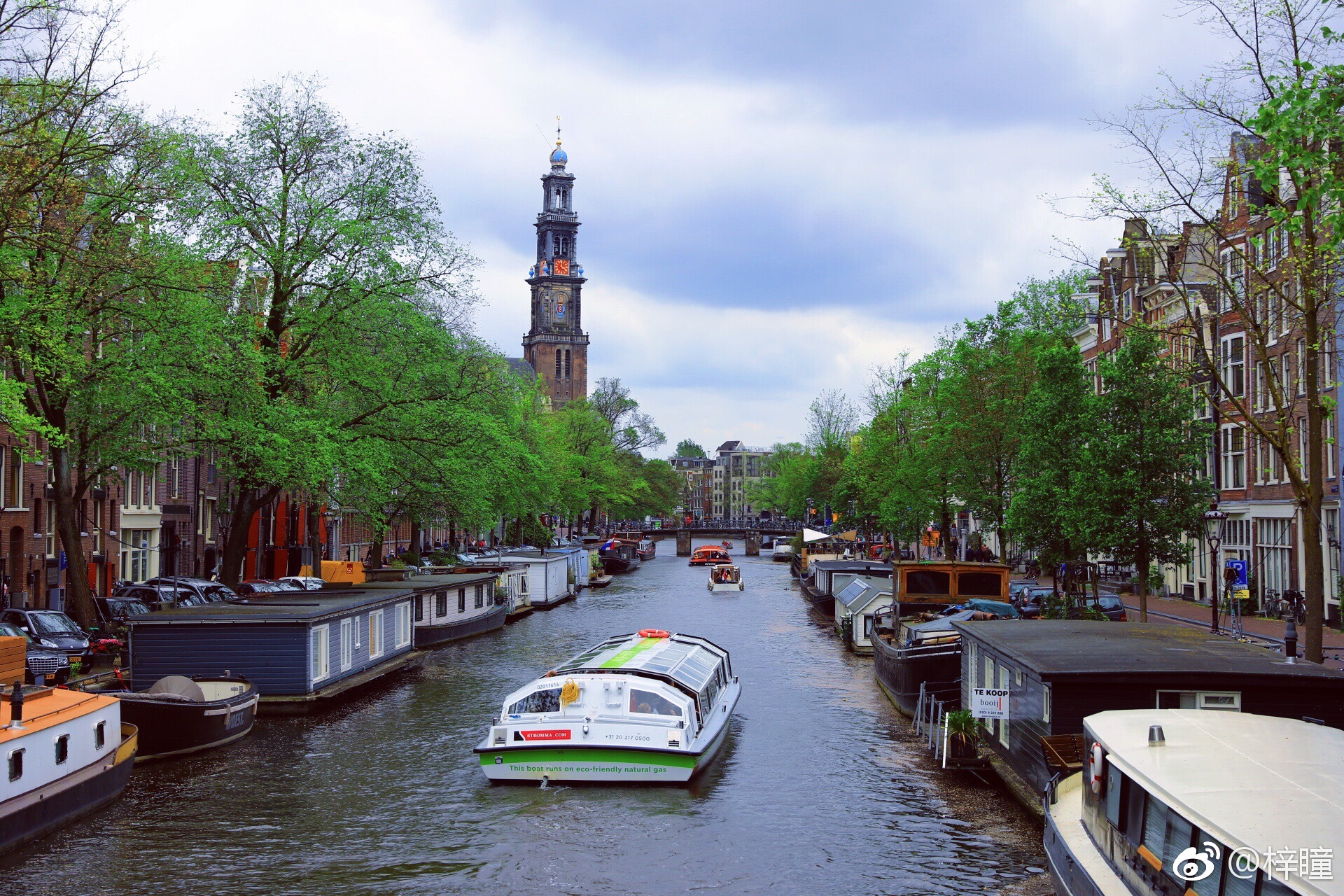 放暑假啦,大孩子小孩子们趁这个夏季,去感受美丽的荷兰夏天吧!